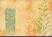 Cane Furniture - Choice of fabrics - larger pictures